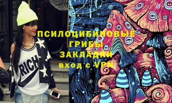 гашик Арсеньев